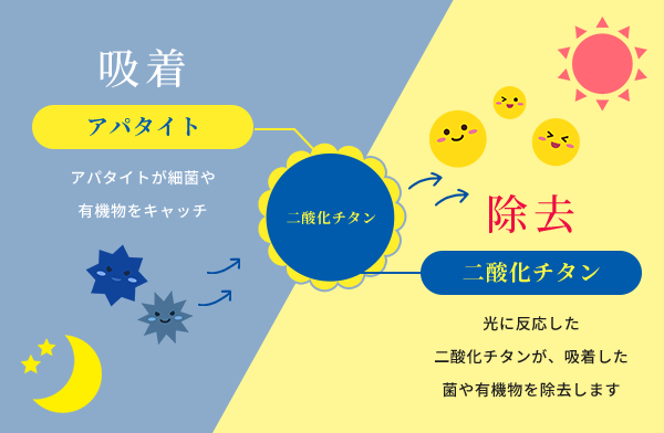 24時間効果が続く仕組み